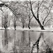 Winter on Opequon Creek